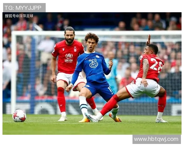 双栖足球明星盘点他们在足球与其他领域的精彩表现与成就