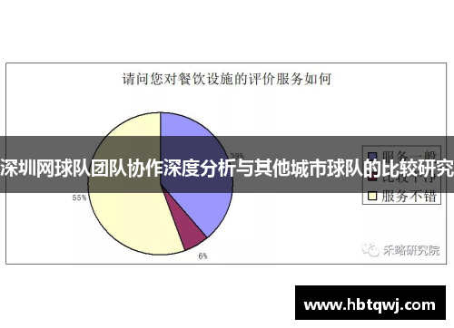 深圳网球队团队协作深度分析与其他城市球队的比较研究